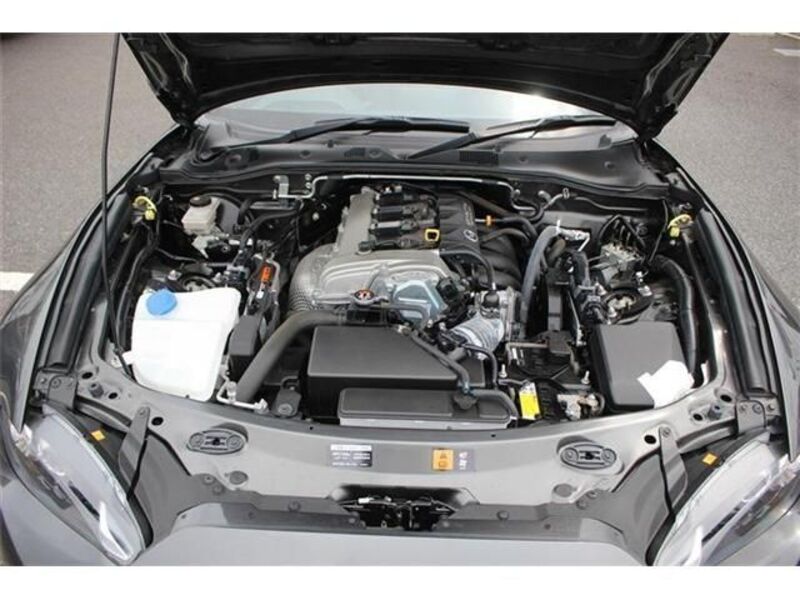 ROADSTER RF