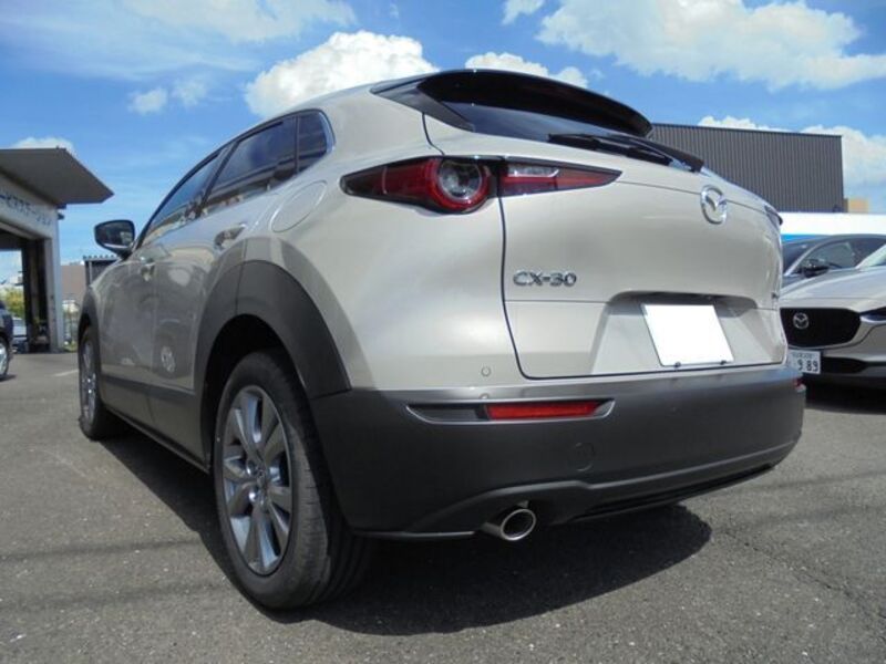 CX-30
