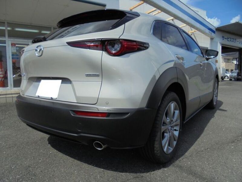 CX-30