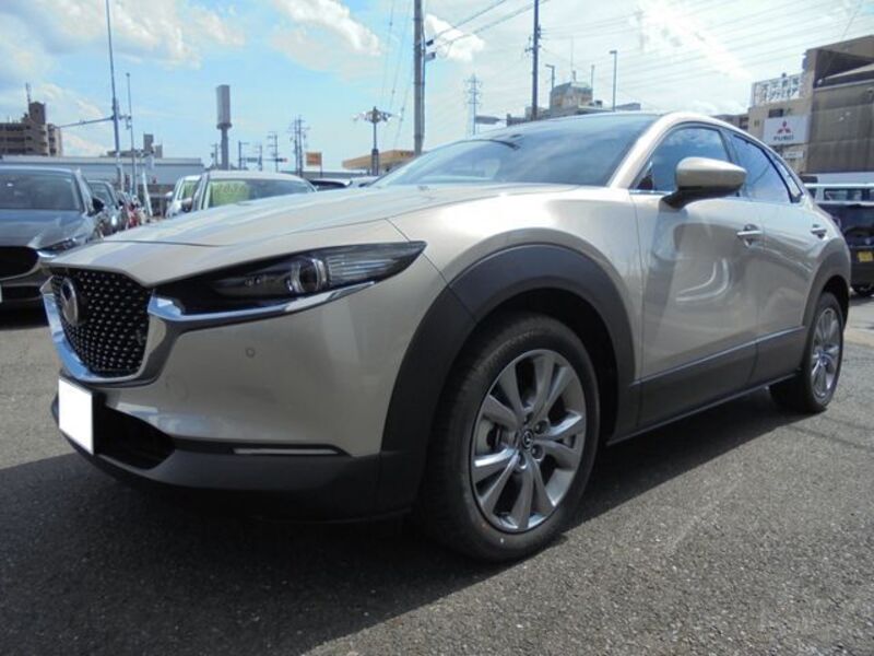 CX-30