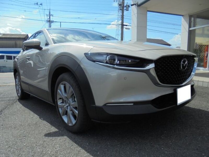 CX-30