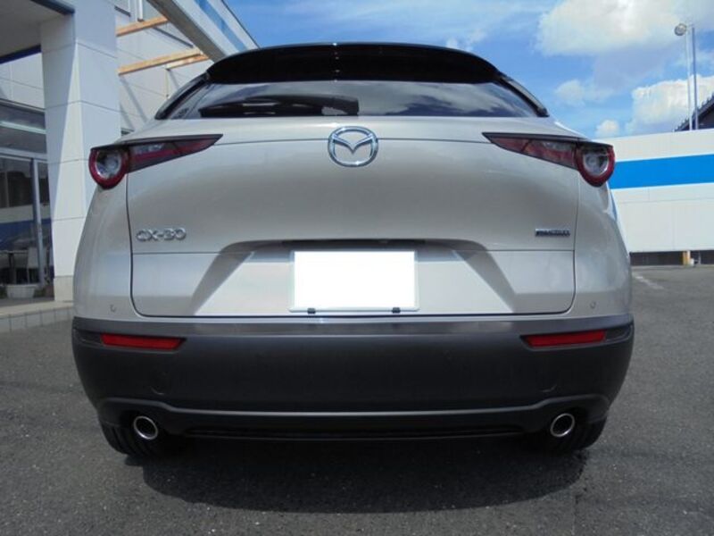 CX-30