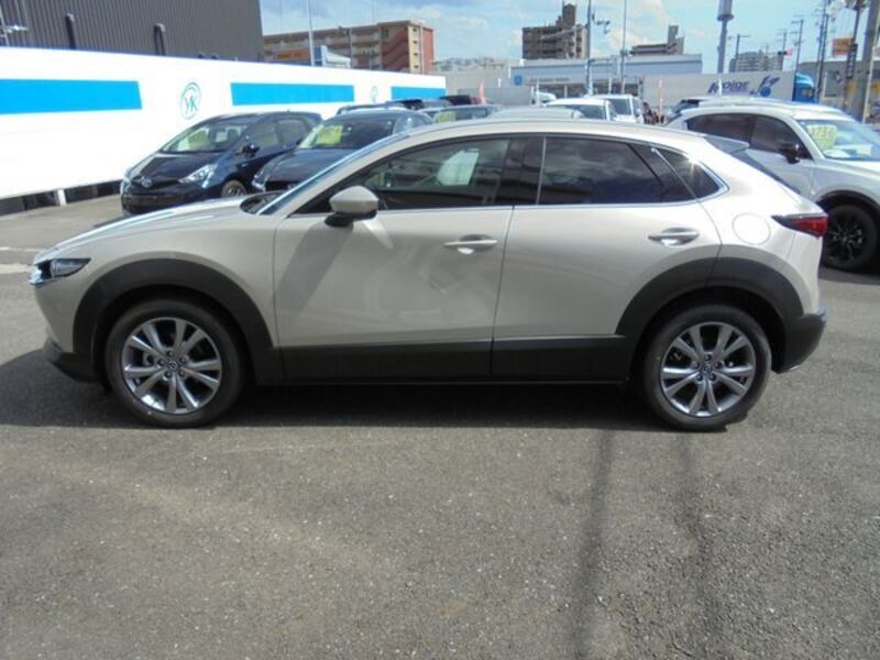 CX-30