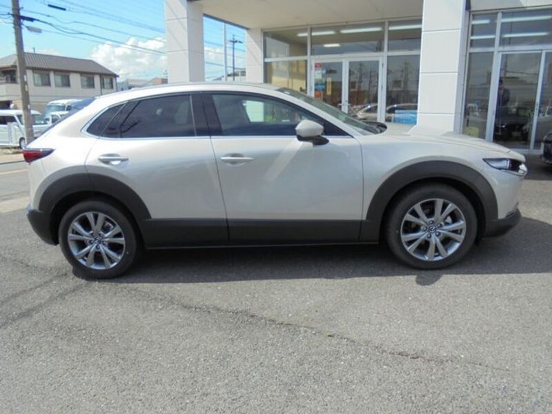 CX-30