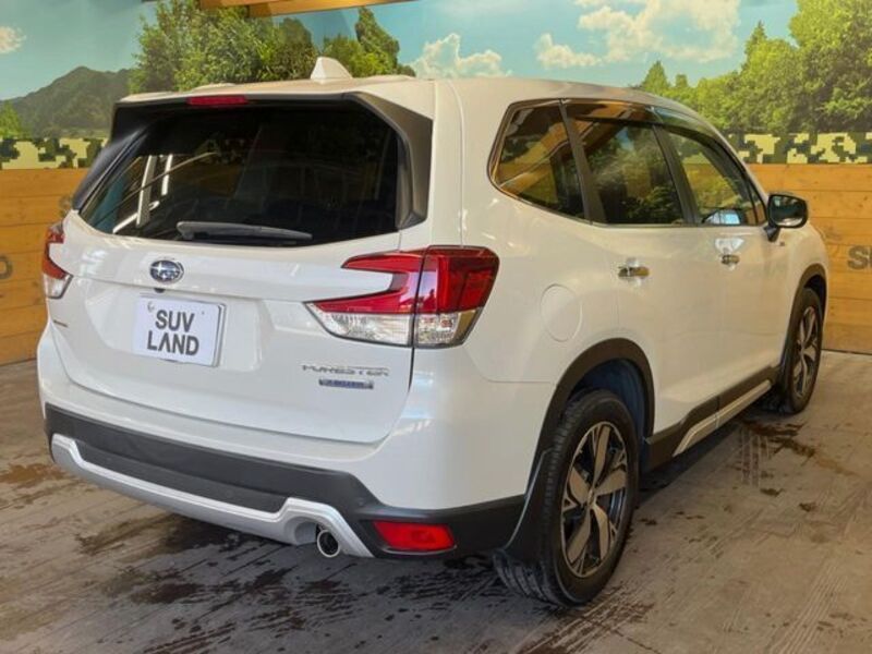 FORESTER