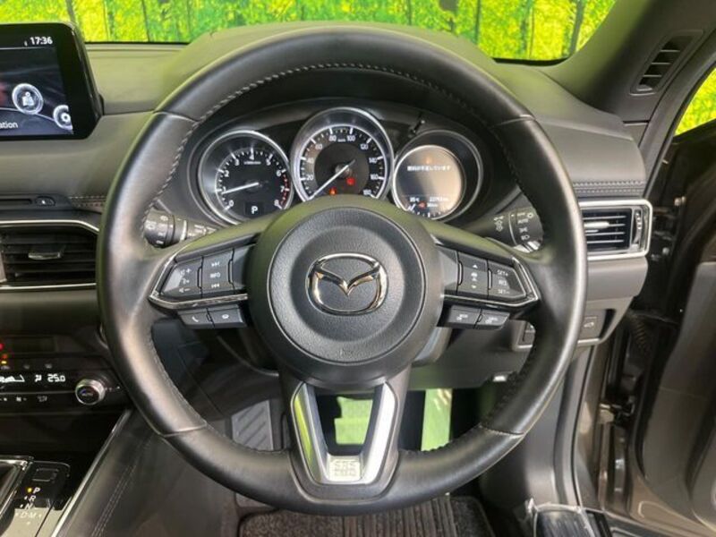 CX-8