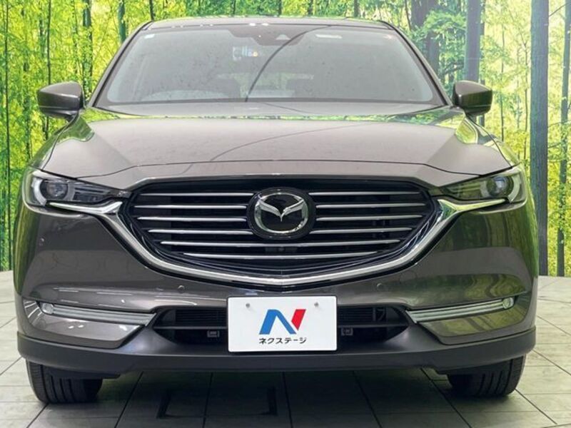 CX-8