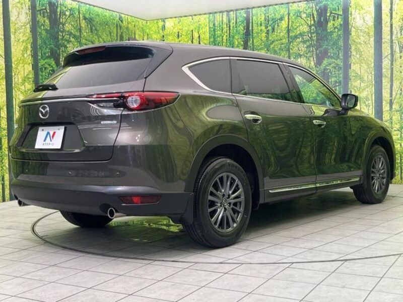 CX-8