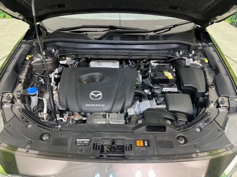 CX-8