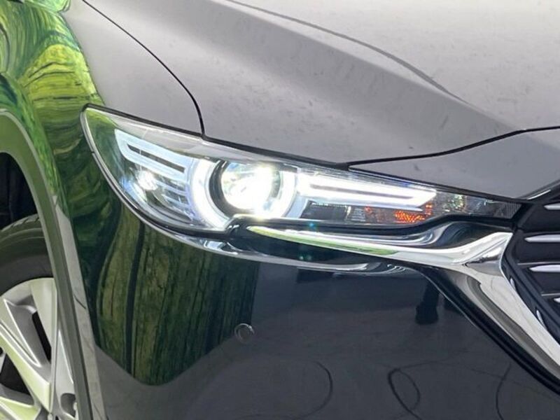 CX-8