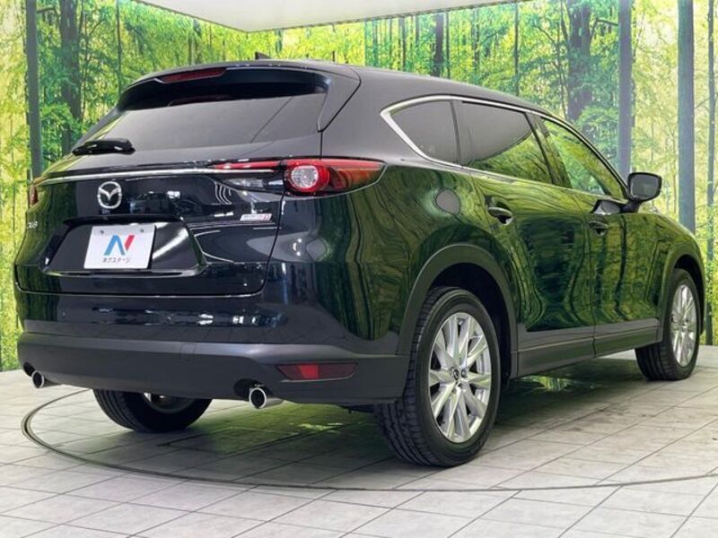 CX-8
