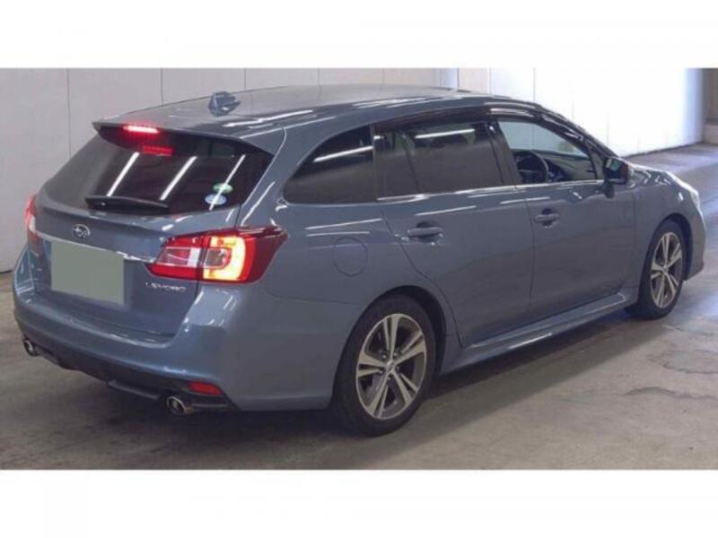 LEVORG