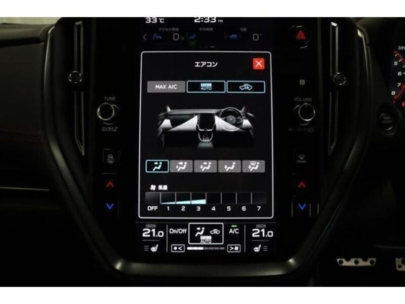 LEVORG