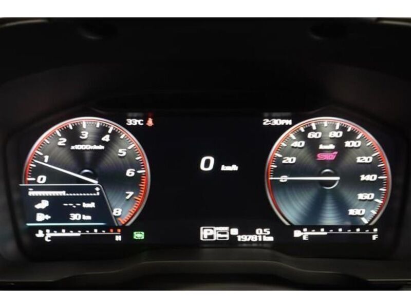 LEVORG