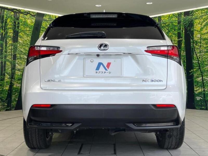 NX