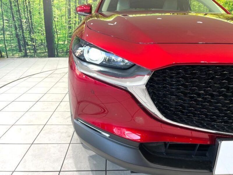 CX-30