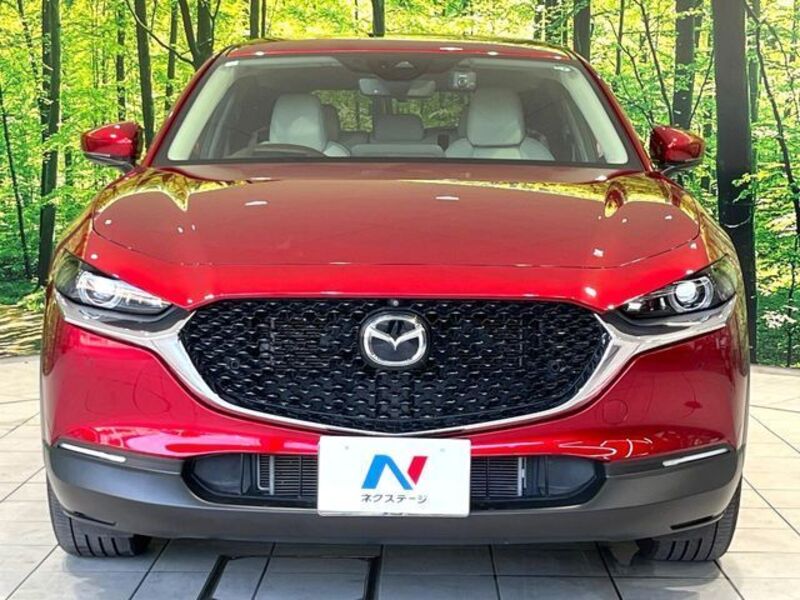 CX-30
