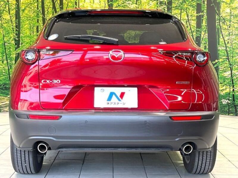 CX-30