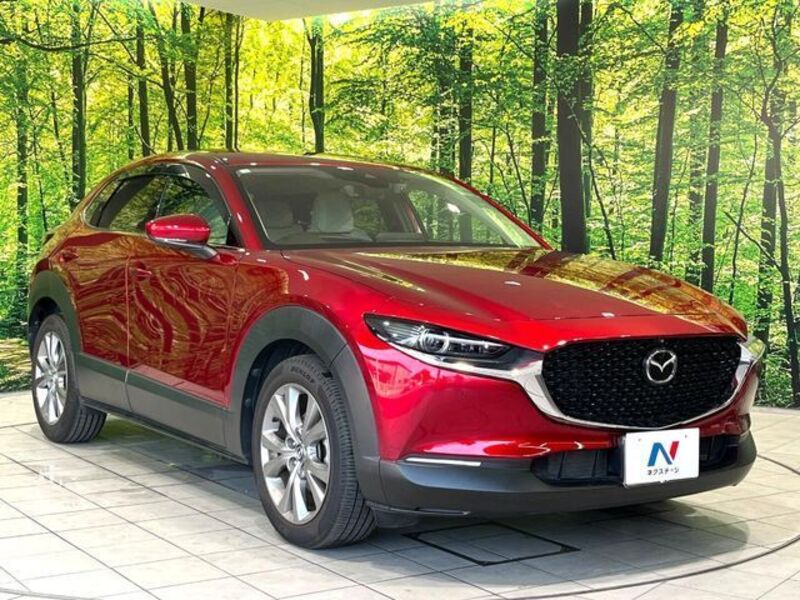 CX-30