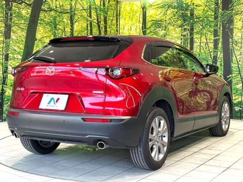 CX-30