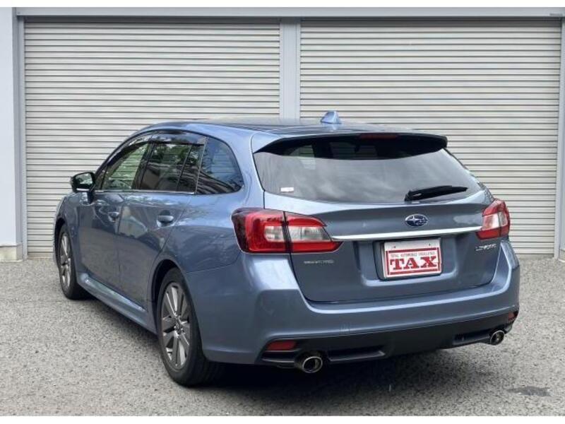 LEVORG