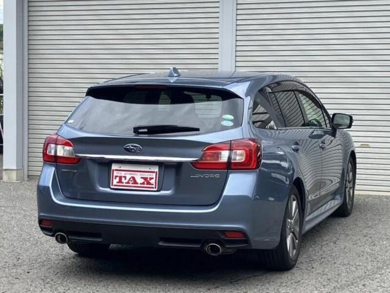 LEVORG