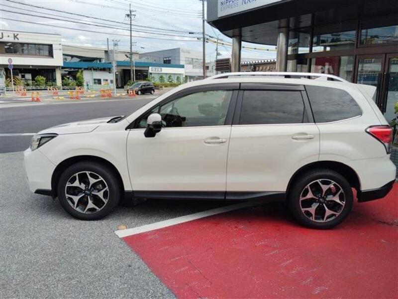 FORESTER