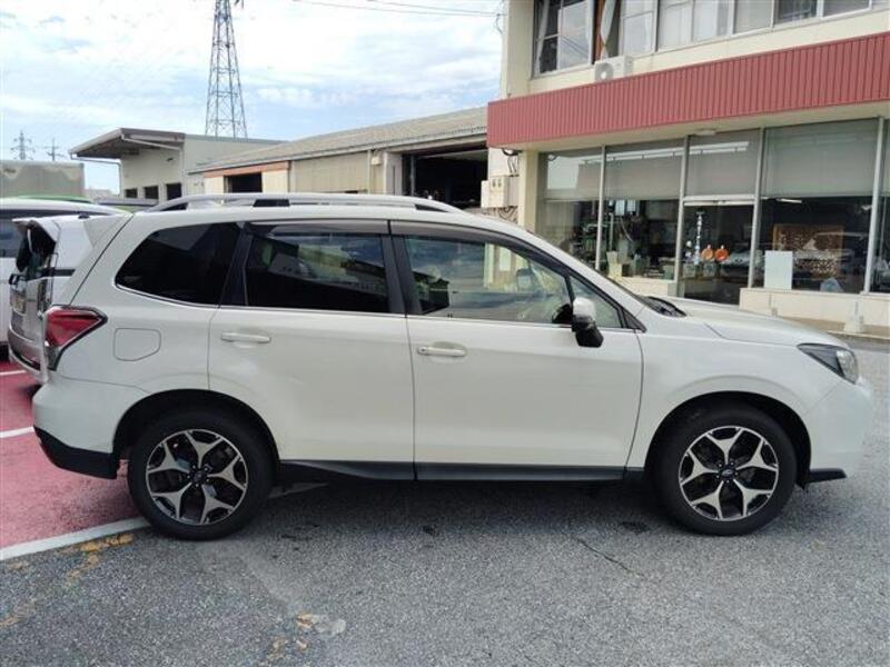 FORESTER