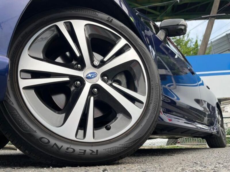 LEVORG