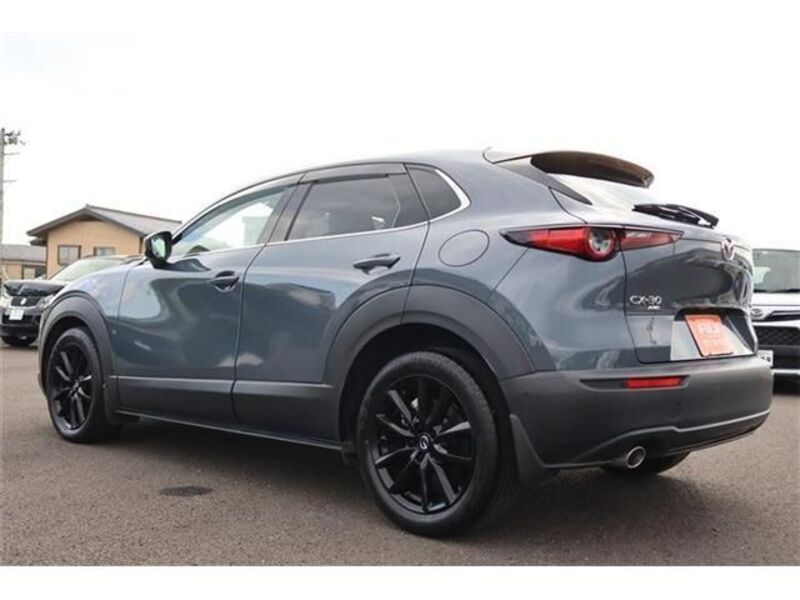 CX-30