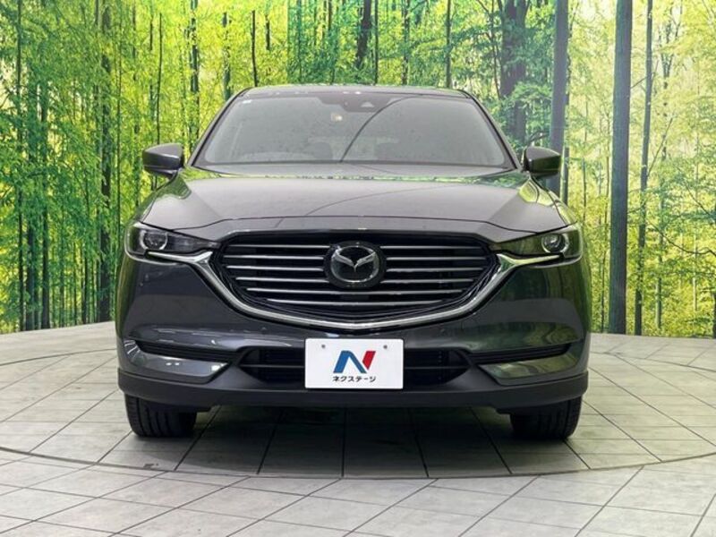 CX-8