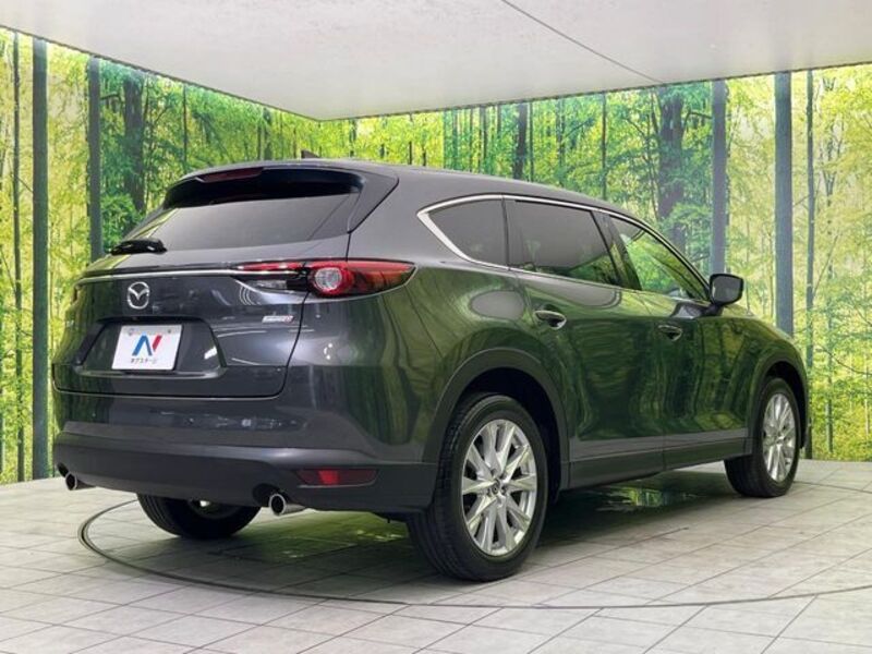 CX-8