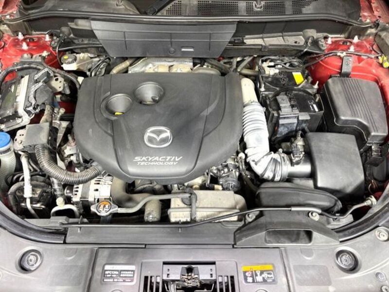 CX-8