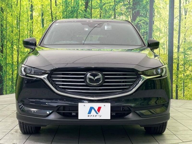 CX-8