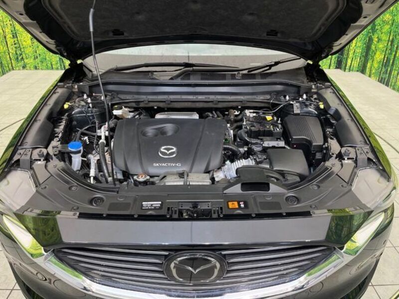 CX-8