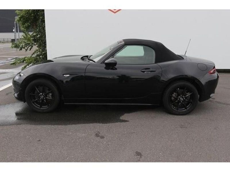 ROADSTER