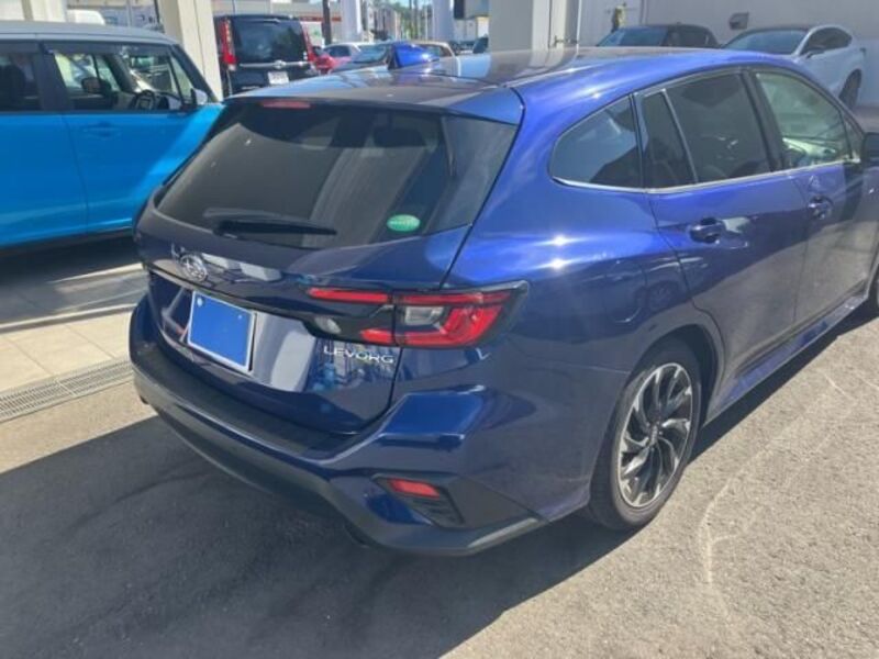 LEVORG