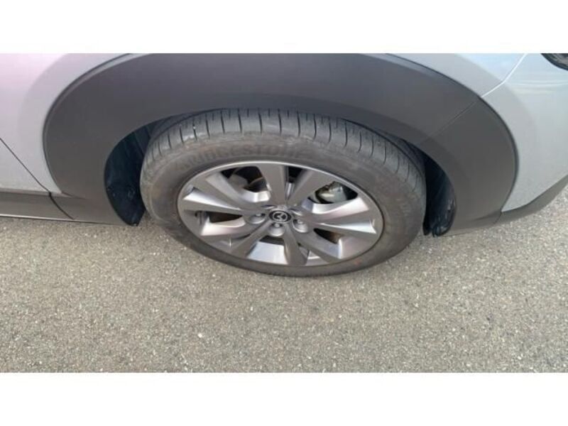 CX-30