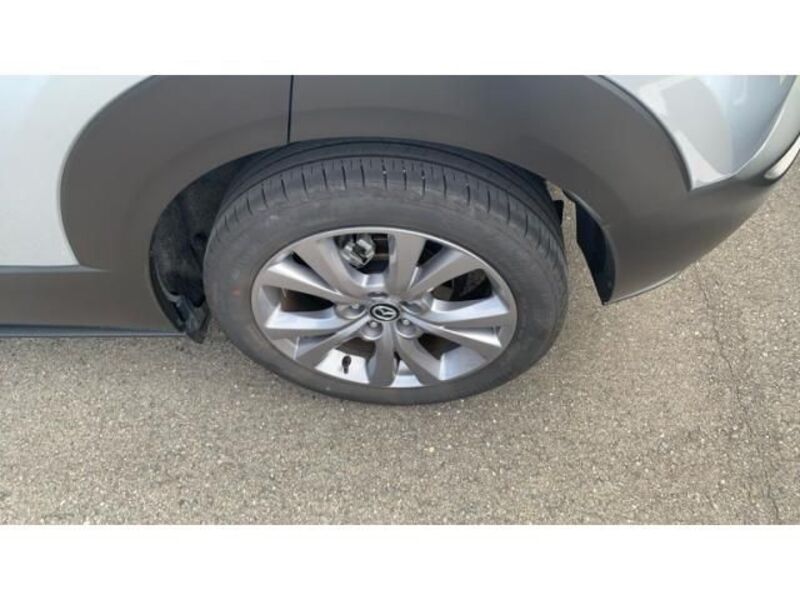 CX-30