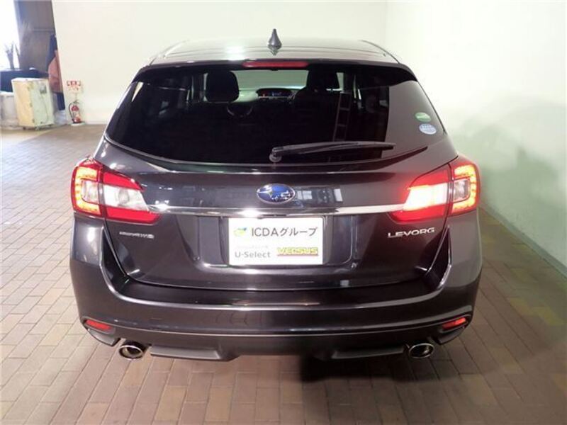 LEVORG