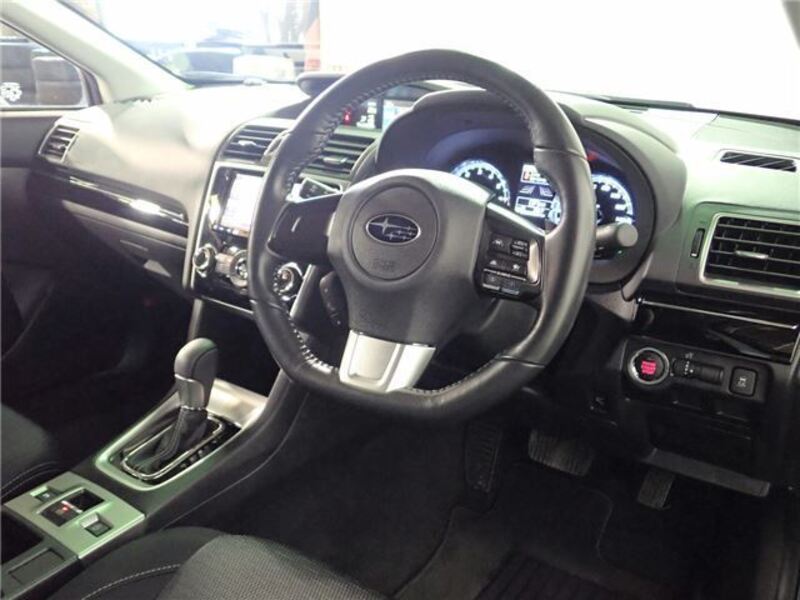 LEVORG