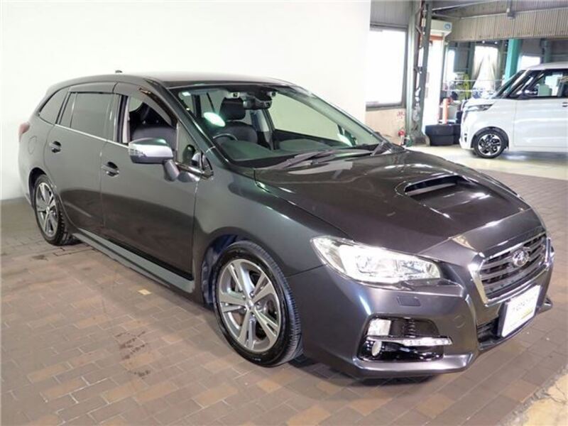 LEVORG