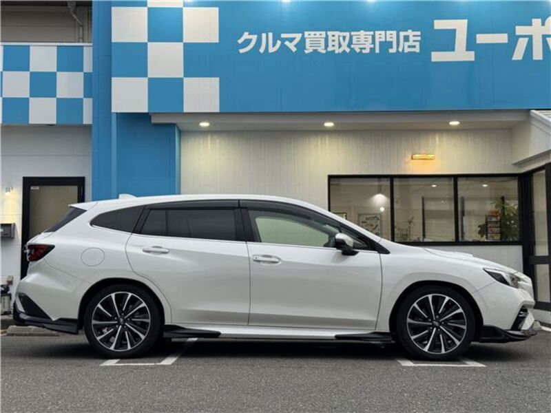 LEVORG