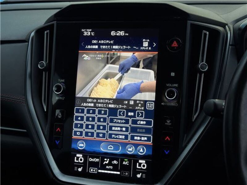 LEVORG