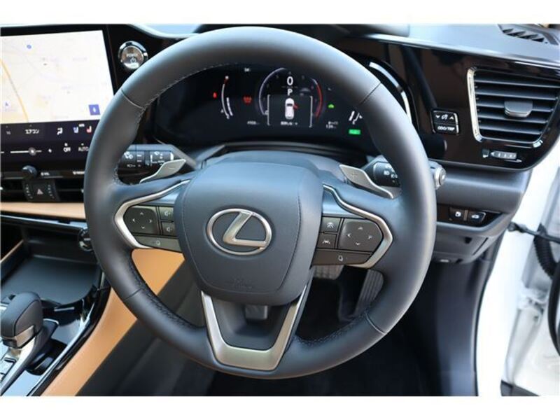 NX