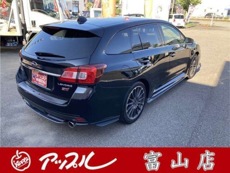 LEVORG