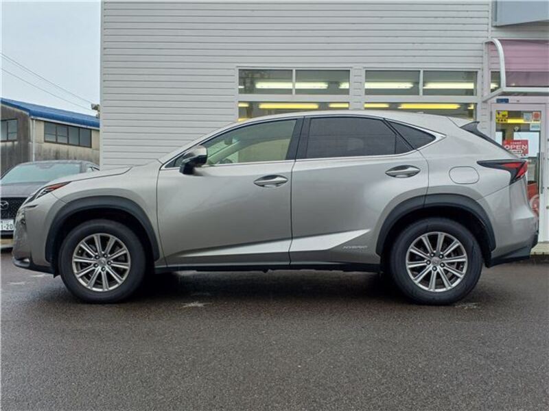 NX