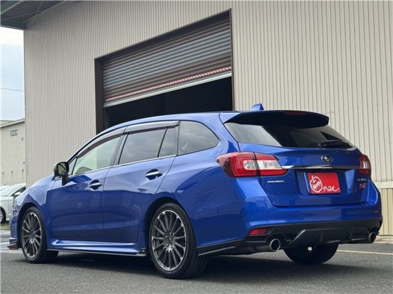 LEVORG