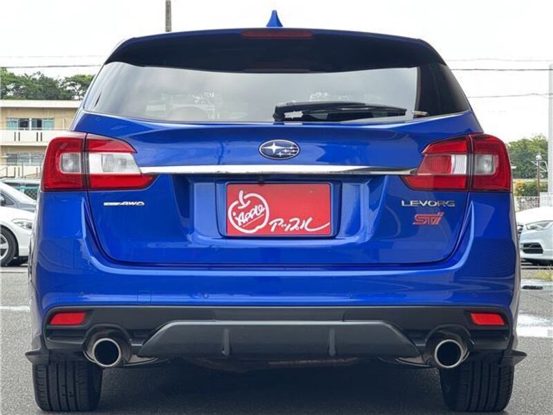 LEVORG