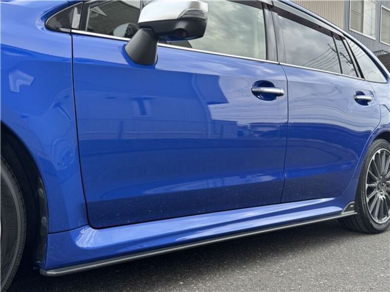 LEVORG